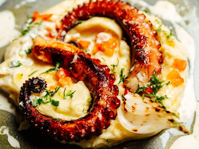 Paradisia-Thumbnail-Octopus